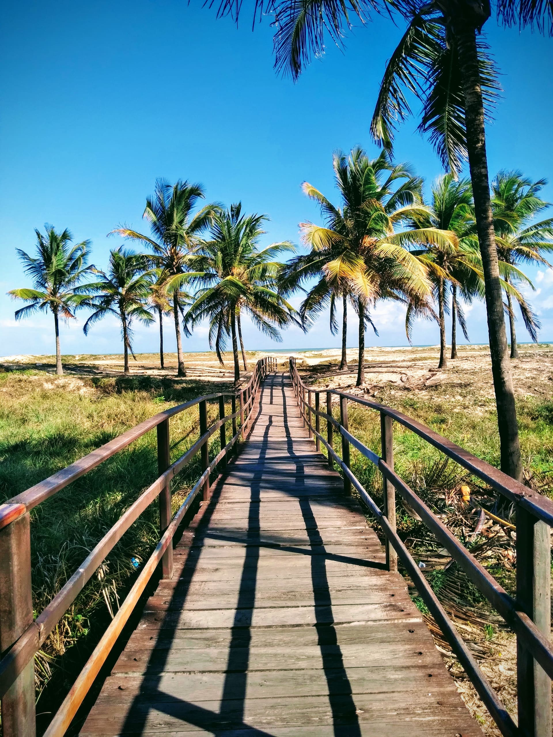 Crab Catwalk (Passarela do Caranguejo) photo 14 — Aracaju, Brazil